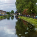 TCC Evening Walk